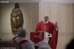 Папата: Кој му е верен на Бог не се плаши од смртта
