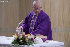 Папата: Крутоста и световноста се штетни за свештеникот