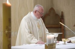 Папата Фрањо: Христијанинот е сведок на послушноста