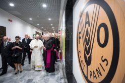 Папата: Војните и климатските промени се пречки за борбата против гладот