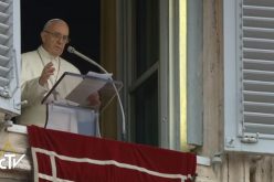 Папата: Меѓу христијаните треба да владее братско однесување