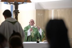 Папата: Светиот Дух дава да расте Царството Божјо