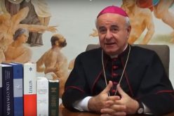 Папската академија за живот предупредува: Дали е на ред да се клонира човек?