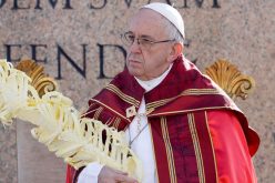 Папата на Цветници: Вие ако замолкнете, камењата ќе повикаат