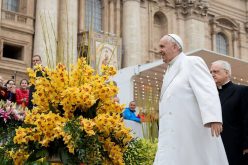 Папата: Да одиме на света Литургија за да живееме се повеќе како христијани