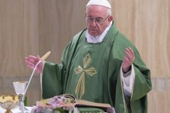 Папата Фрањо во Света Марта: Христијанинот моли за своите непријатели