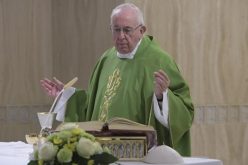 Папата: Мора да научиме да се обвинуваме себе си, а не другите