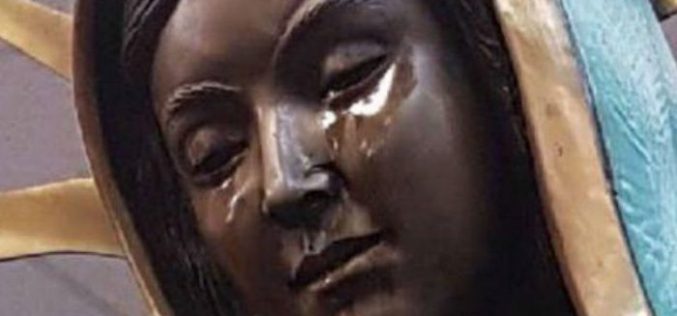 Америка: Повторно просолзи статуата на Богородица