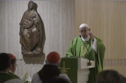 Папата: Денес да се молиме за нашите епископи