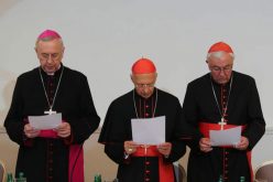 Солидарност на европските епископи со Папата