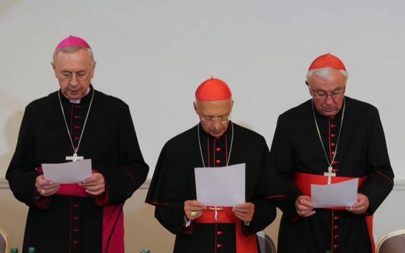 Солидарност на европските епископи со Папата