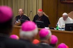 Плод на синодата: Основање на Папски совет за млади?