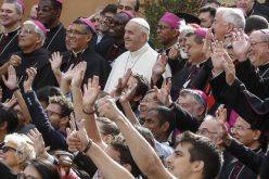 Младите до Папата: Со тебе сме и со сите епископи на нашата Црква