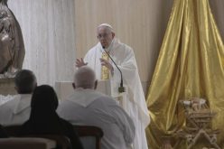 Папата Фрањо: конкретноста е критериумот за христијанството