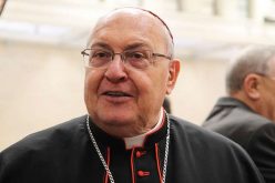 Кардинал Сандри е Папски претставник на прославата во Египет
