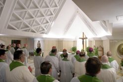 Папата: Свештеничкото служење е дар, а не функција или договор за работа
