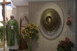 Папата Фрањо: Да не избереме идеологија, наместо вера