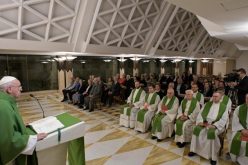 Папата Фрањо: Во внатрешната борба меѓу доброто и злото да го одбереме спасението