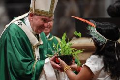 Папата Фрањо: Крикот на сиромашните е крик на Црквата