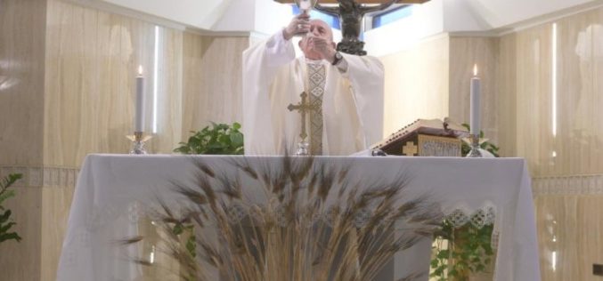 Папата: Радоста која нè исполнува е плод на Светиот Дух