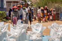 Во Мадагаскар владее глад и очај