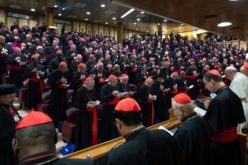 Формирана е Комисија за подготовка на Генералното собрание на Епископската синода