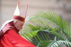 Папата: Да се обединиме во молитвите за мир