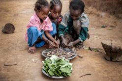 Папата до ФАО: Работете на искоренување на гладот