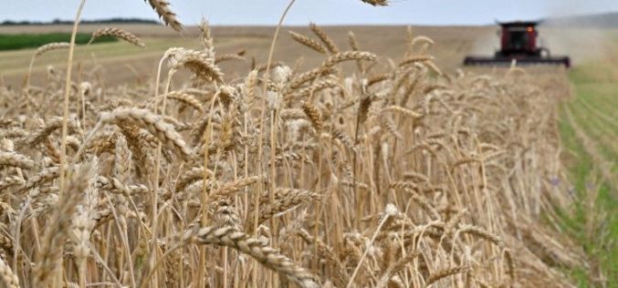 Папата апелираше за договор за житото: „Плачот на гладните се воздигнува до небо“