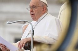 Папата на аудиенција: Свети Даниел Комбони беше полн со ревност за Африка