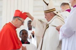 Папата до новите кардинали: Работете за повеќе „симфониска и синодална црква“