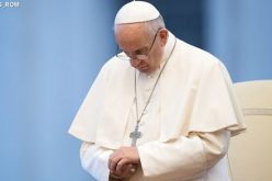 Папата: Сите имаме одговорност за зачувањето на планетата