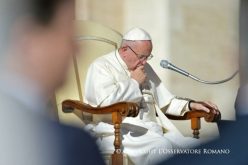 Пораката на Папата за 50. Светски ден на мирот