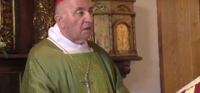 Сочувство на Папата по повод смртта на кардинал Тетаманци