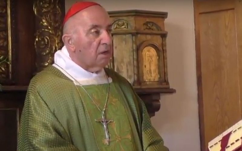 Сочувство на Папата по повод смртта на кардинал Тетаманци