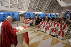 Папата Фрањо: Нема Христос без крст, ниту крст без Христос