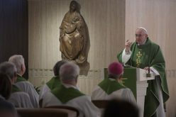 Папата: Срамот е милост која нè оздравува од гревот