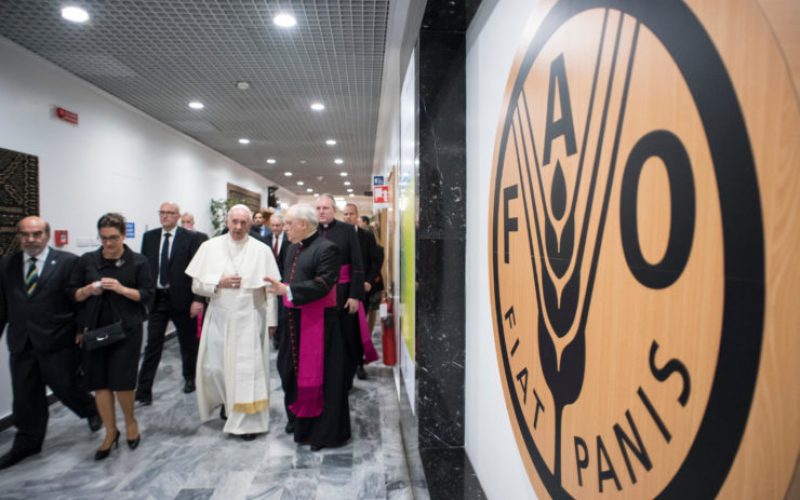 Папата: Војните и климатските промени се пречки за борбата против гладот
