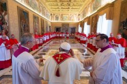 Папата најави дека ќе го канонизира младото момче Сулприцио