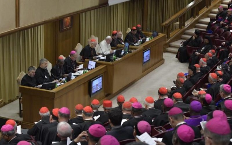 Папата: Синодата треба да даде конкретни пасторални предлози