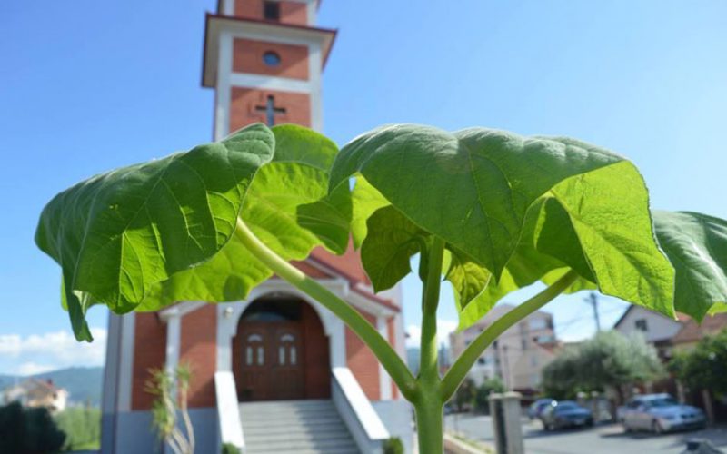 Најава: Во недела црквата „Раѓање на свети Иван Крстител“ во Струмица ќе го прослави својот заштитник