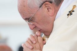 Папата Фрањо: Братството го победува насилството на оние кои богохулно го користат Божјото име