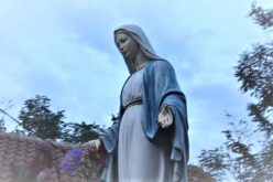 Најава на богослужби за празникот Успение на Пресвета Богородица