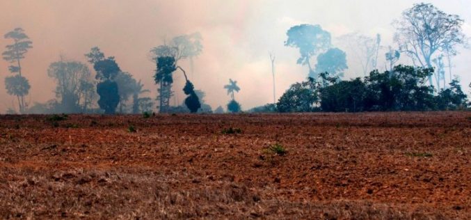 Папата повика на молитва за пожарите во Амазон