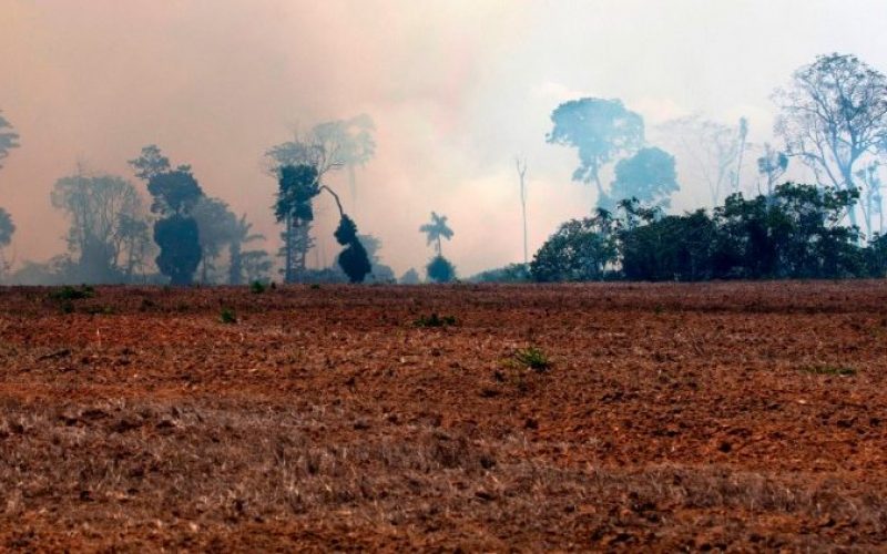 Папата повика на молитва за пожарите во Амазон