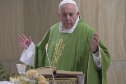 Папата Фрањо: Кога Божјото Слово доаѓа во срцето се создава славење