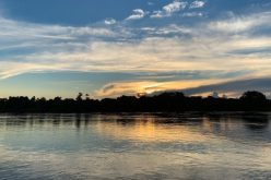 Брифинг за Синодата: Силата на простување во Амазонија