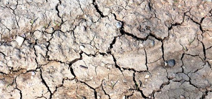Австралија е погодена од суша