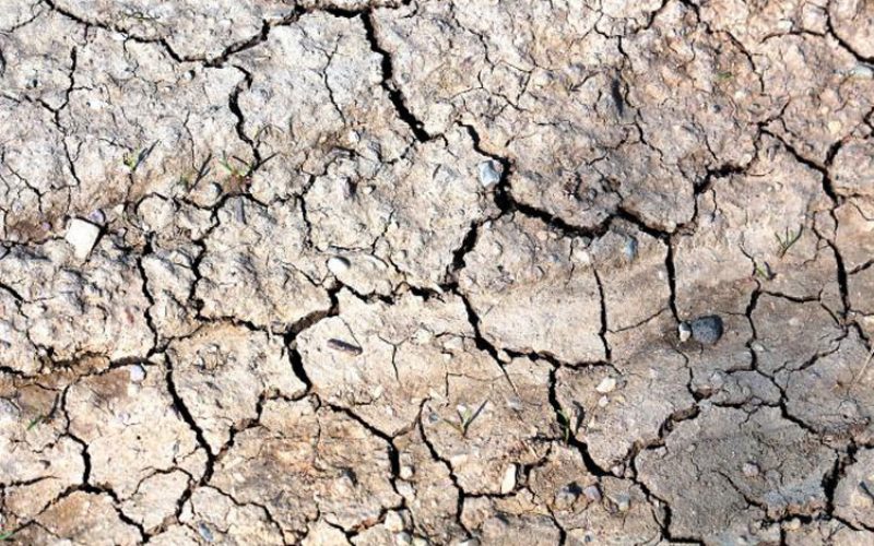Австралија е погодена од суша