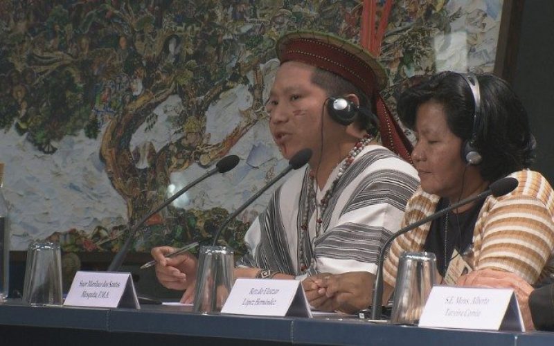 Домородните народи имаат голема надеж од Синодата за Амазонија